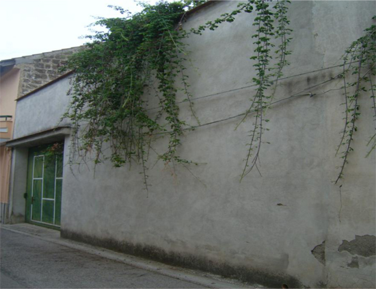 ag1