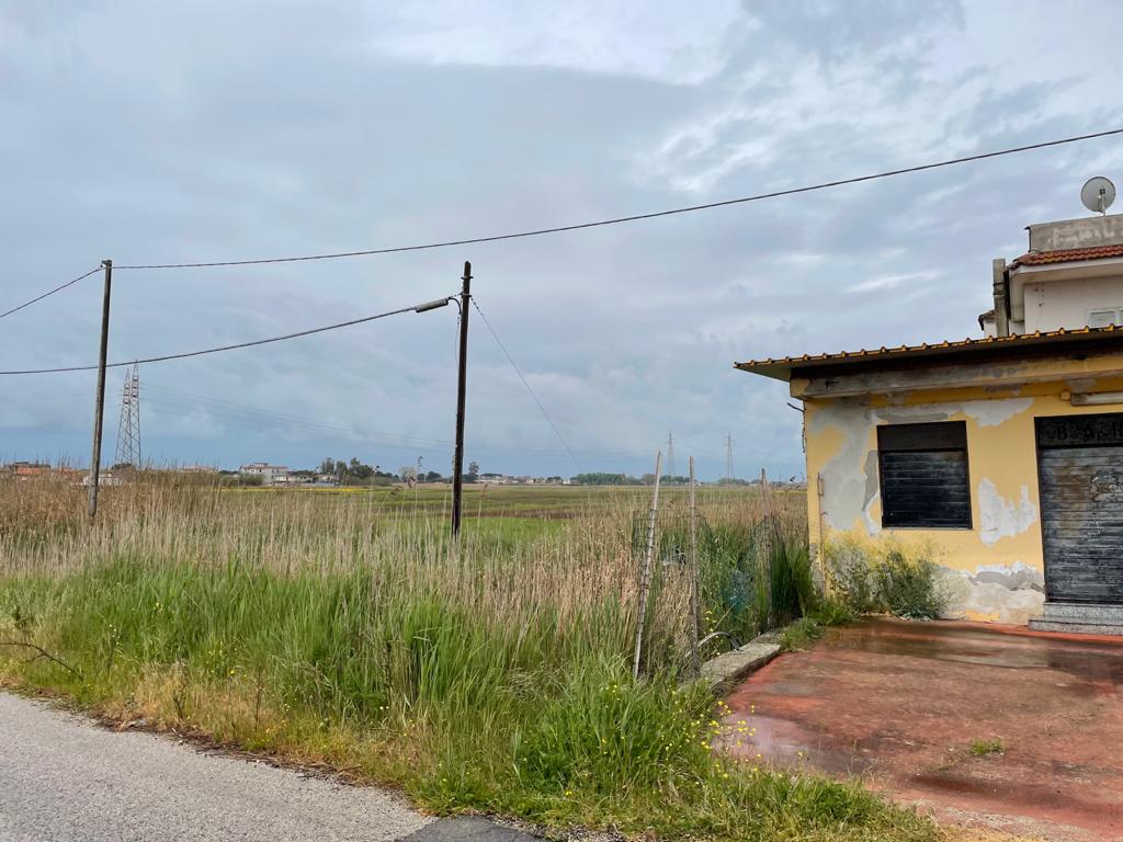 Alfiero Vincenzo villa literno 2