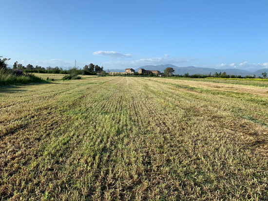 IMG 20190902 WA0010