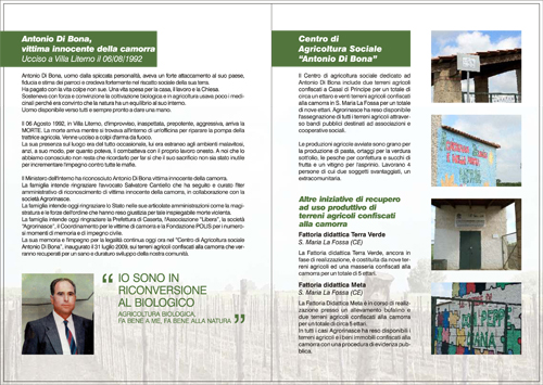 brochure2