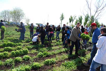 2011-04raccolta005