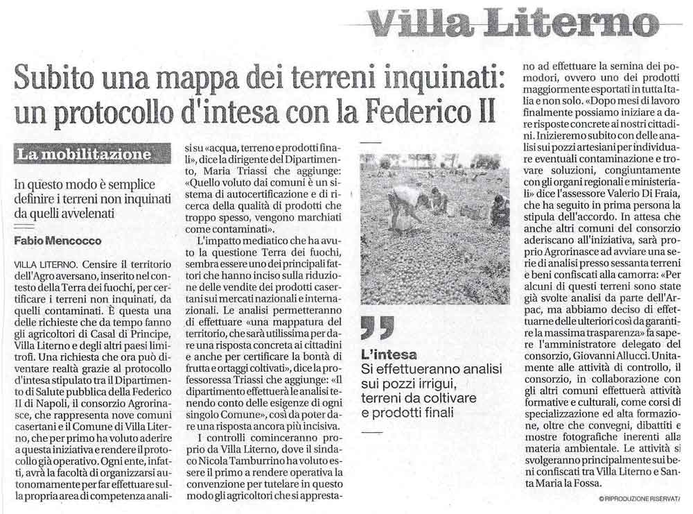 articolomattino06022014