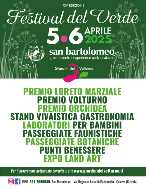lancio verde 