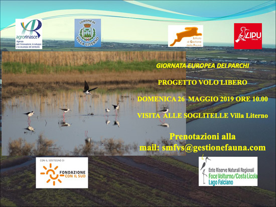 locandina 1