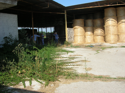 terraverde2